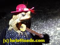 /home//u458753944/public_html/sourcegallery//////////////////////Roxborough Toad Detour/2013-2019/2017/P4050684.JPG